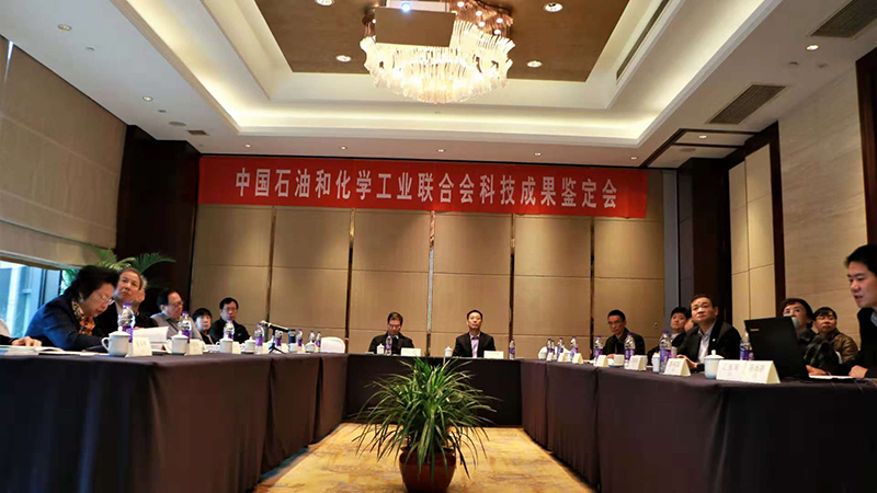 中国石油和化学工业联合会科技成果鉴定会